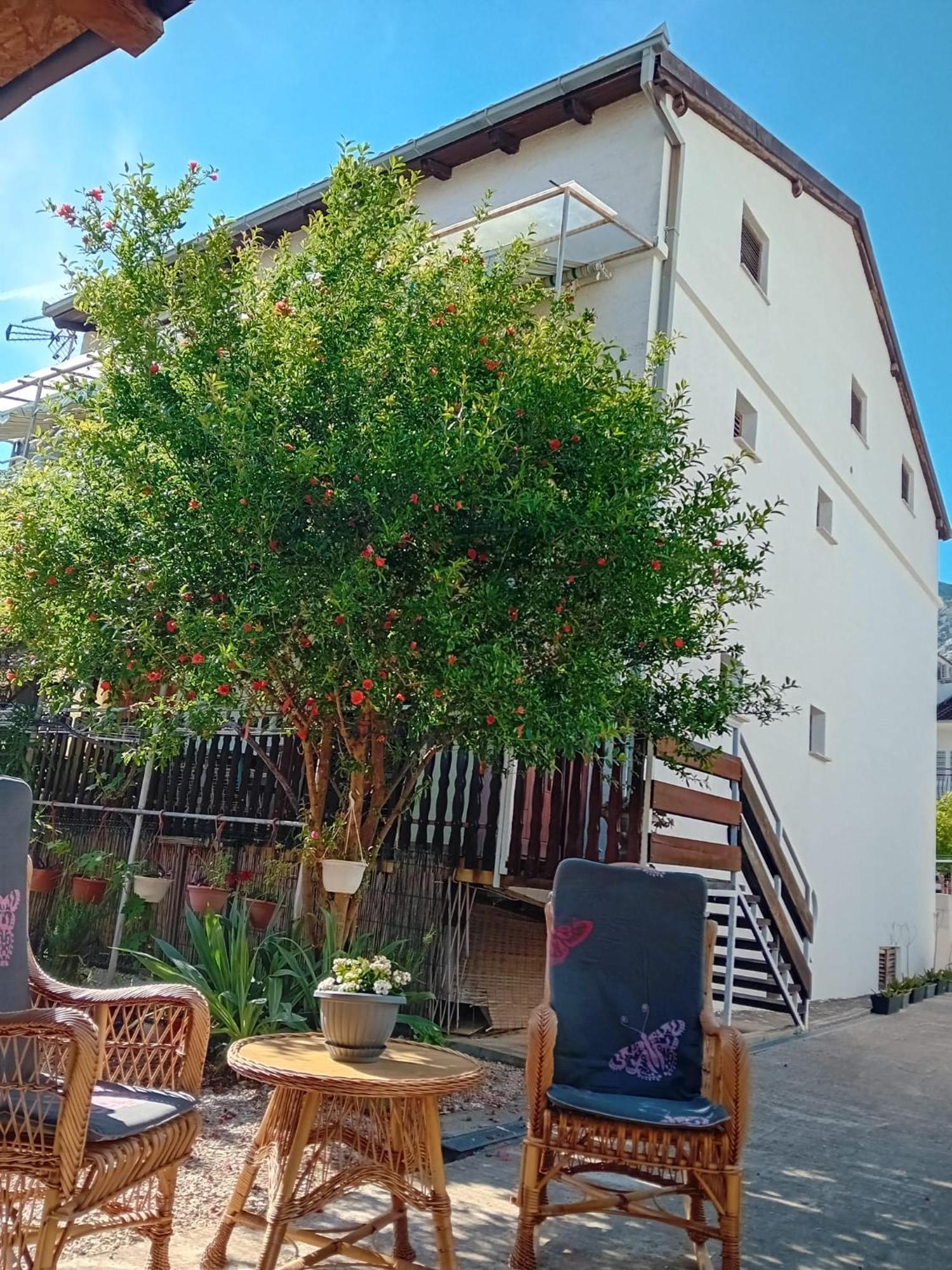 Apartments Vidic Orebić Zewnętrze zdjęcie